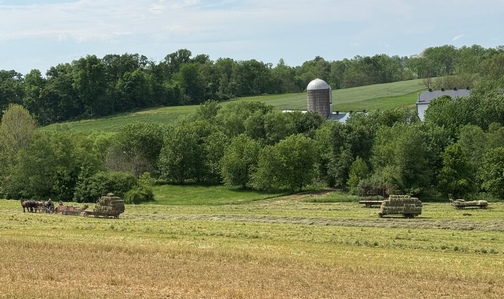 Hay harvest in Lancaster County