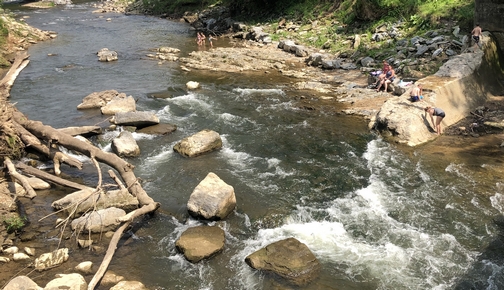 Chiques Creek, Lancaster County PA 6/3/20 (Click to enlarge)