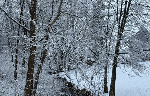 Chiques Creek in snow