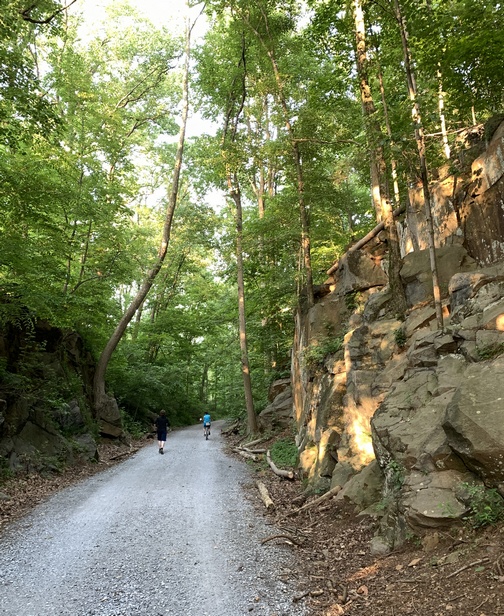 Conewago rail trail cut (click to enlarge)