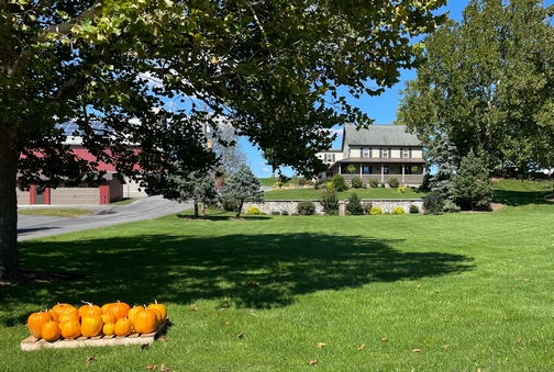 Country Log House farm