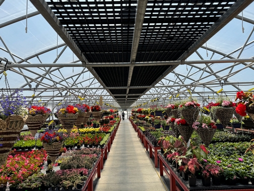 Country View greenhouse