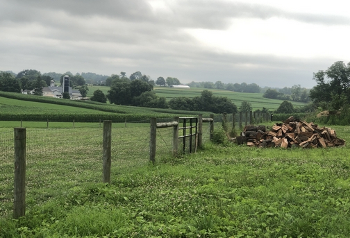 Lancaster County view