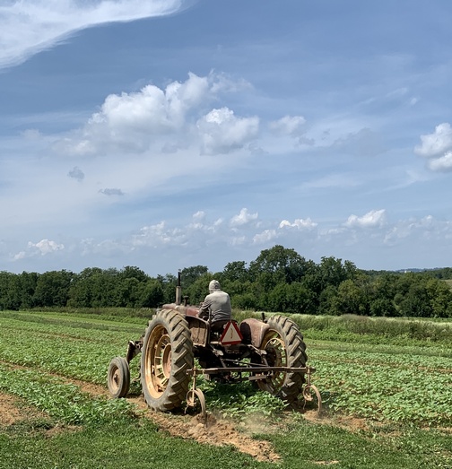 Cramer Farms tractor
