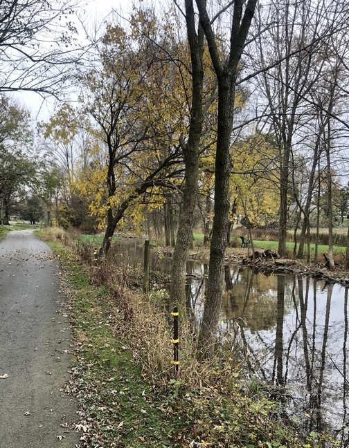 Donegal Creek, Lancaster County, PA 10/30/19