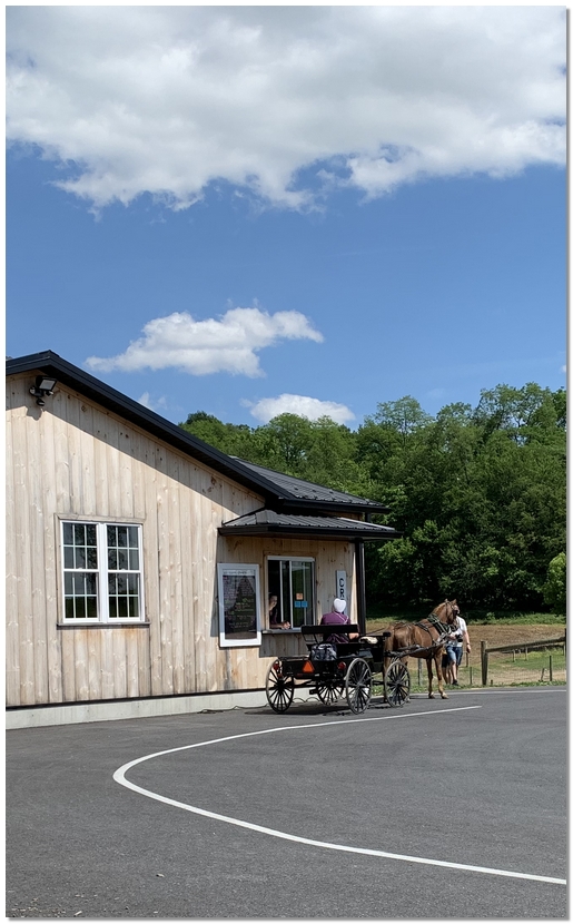 Down On The Farm creamery, Lancaster County, PA  5/27/19 (Click to enlarge)