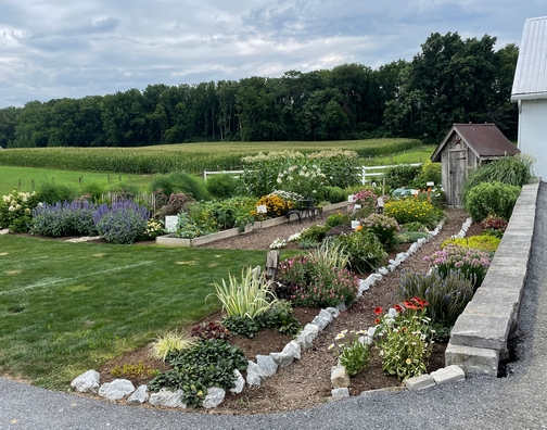 Down On the Farm garden