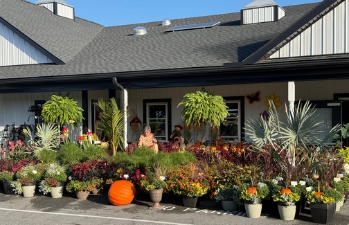 Fisher's Greenhouse fal decor