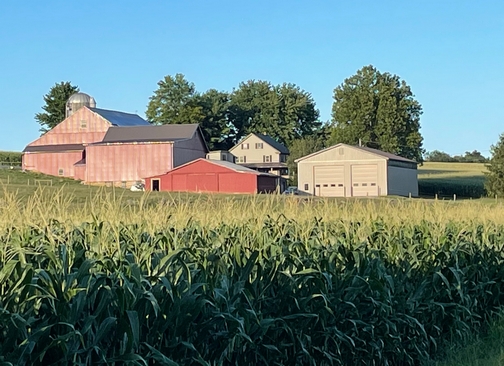 Country Log House Farm