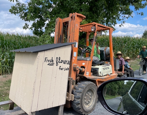 Fresh flowers shed