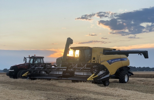 Wheat harvest at sunset