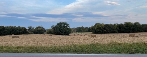 Harvested field on Colebrook Road