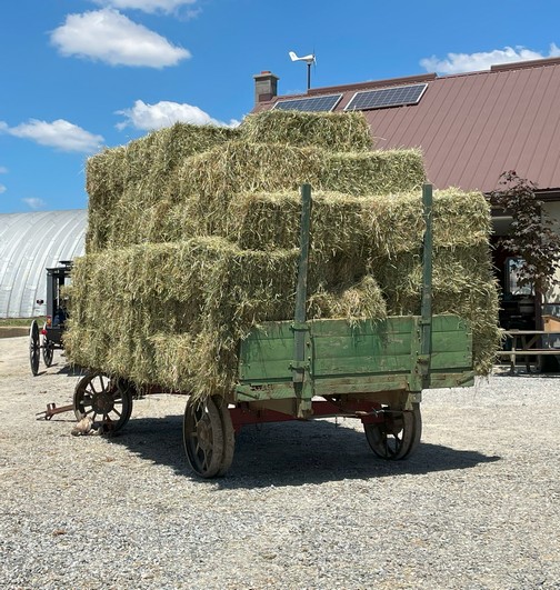 Hay wagon in Lancaster County
