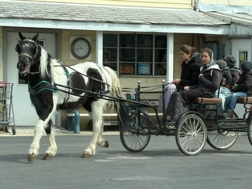 Horse and cart (Photo by Don Harnish)
