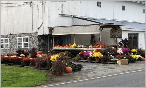 Roadside stand, Lancaster County, PA 10/14/18 (Click to enlarge)