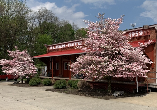 Kleen-Rite dogwoods 4/26/19