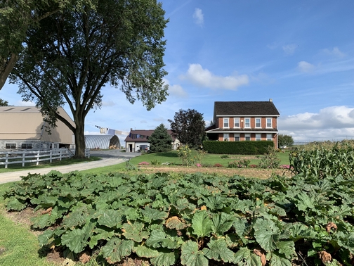 Kraybill Church Road clothesline (Click to enlarge)