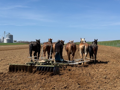 Kraybill Church Road disking