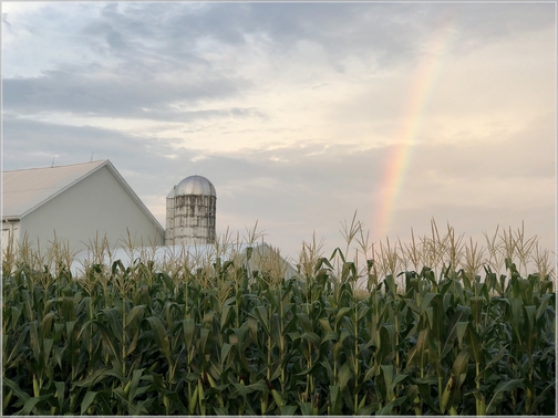 Kraybill Church Road rainbow 8/7/18 (Click to enlarge)