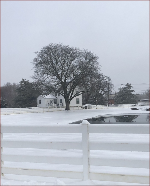 White frame farmhouse 2/21/19 (Click on photo to enlarge)