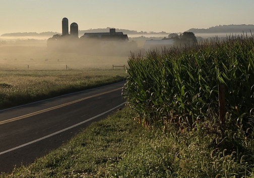 Lancaster County fog 9/3/19 Click to enlarge