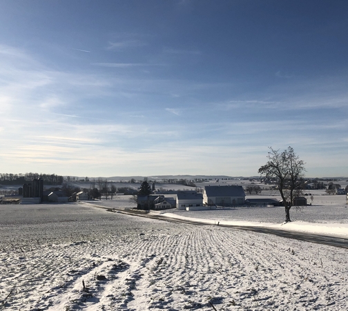 Lancaster County PA rural snow scene 1/10/20 (Click to enlarge)