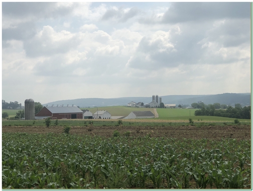Lancaster County farm scene near New Holland 6/6/19 (Click to enlarge)