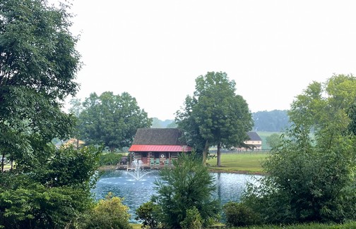 Meadow View Road pond