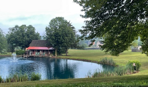 Meadow View Road pond