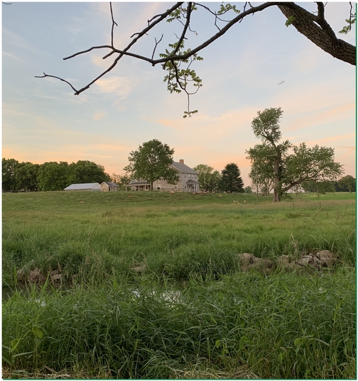 Farm along Donegal Creek 6/11/19
