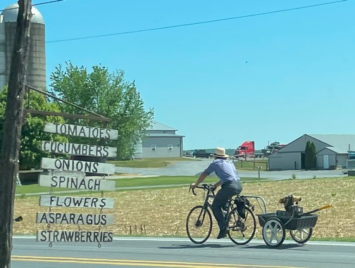 Mennonite on bike