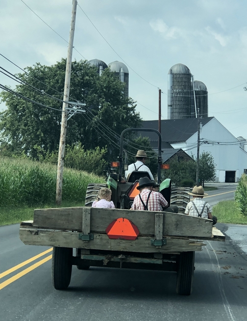 Mennonite children on wagon, Lancaster County, PA 8/8/19