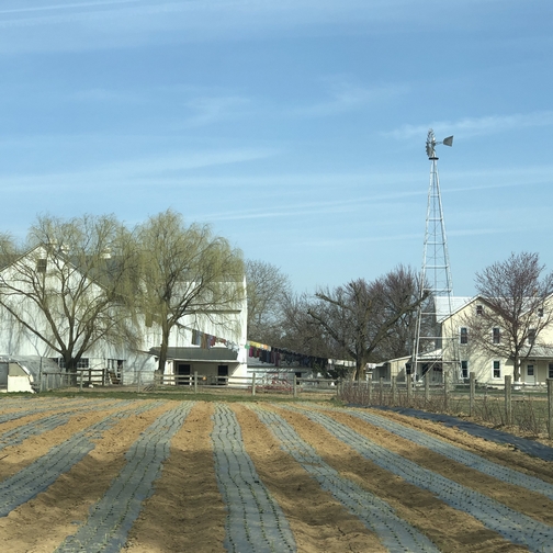 Mennonite farm, Lancaster County PA 4/4/19 (Click to enlarge)