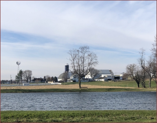 New Holland farm in Lancaster County, PA 11/29/18 (Click to enlarge)