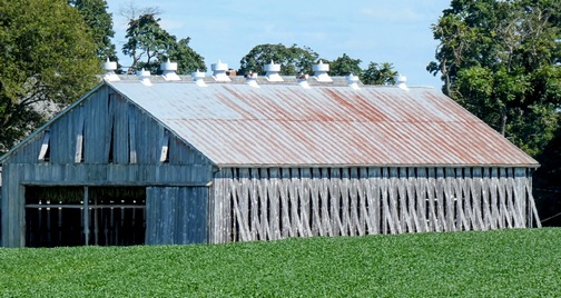 Old tobacco barn on Donegal Springs Road