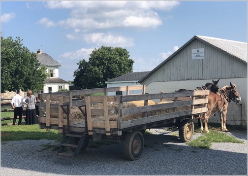 Old Windmill Farm hay wagon 8/9/18 (Click to enlarge)