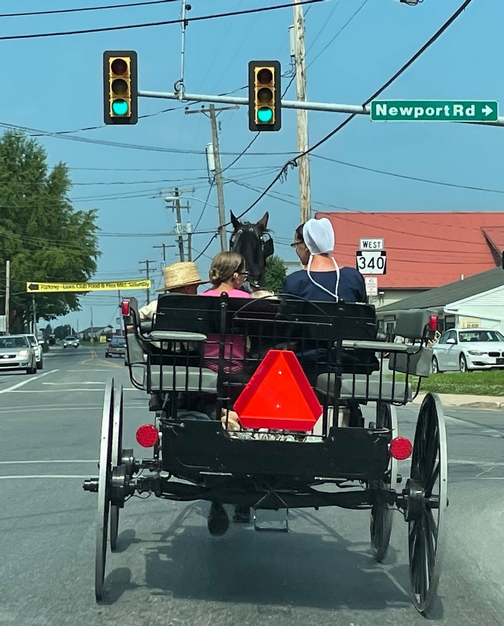 Buggy in Intercourse, PA