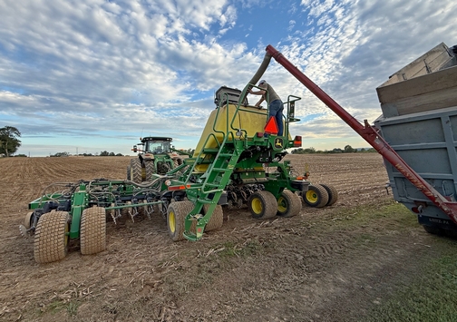Planting rye