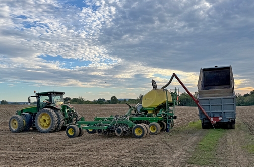Planting rye