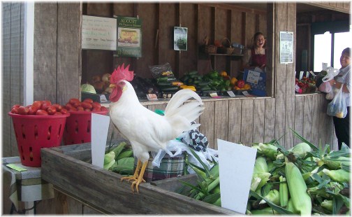 Produce stand rooster