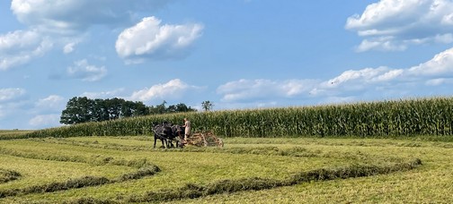 Raking hay in Lancaster County PA