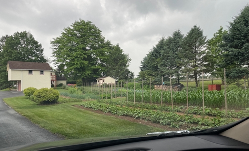 Lancaster County garden