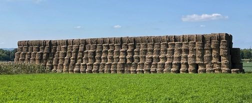 Hay bale stack, Lancaster County (Click to enlarge)