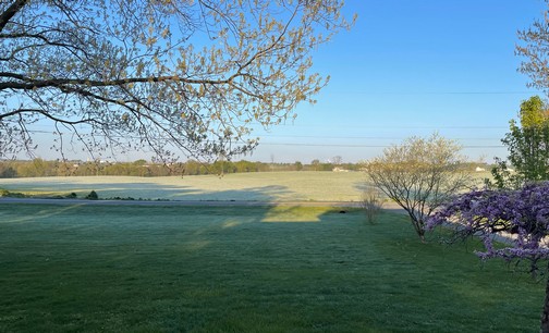 Rye harvest view