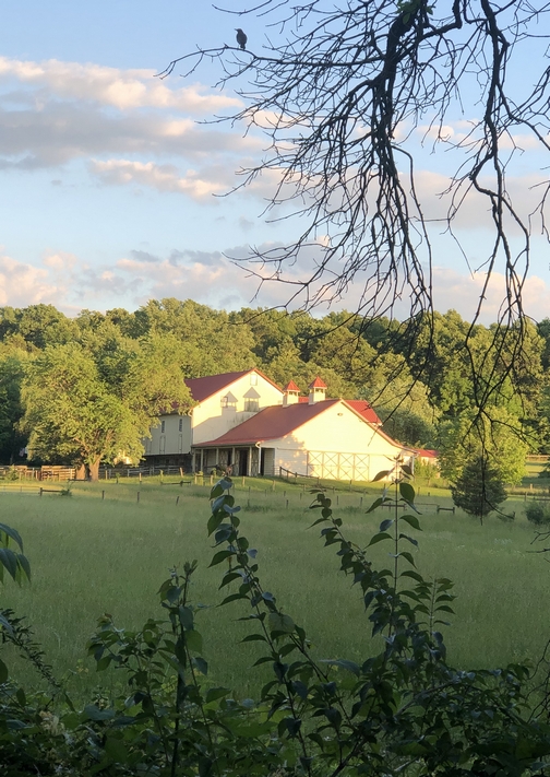 Lancaster County barn (click to enlarge)