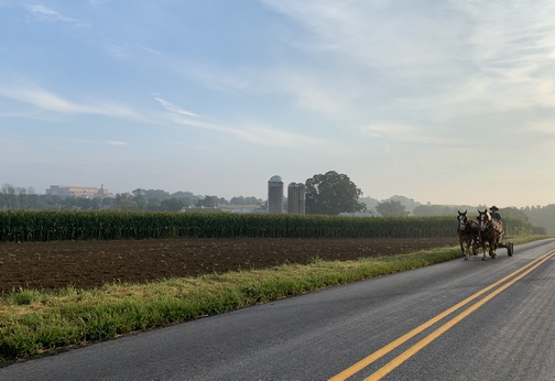 Sight and Sound background 9/12/19 Sight and Sound background 9/12/19