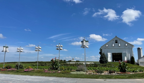 Spookynook farm purple martin feeders