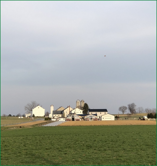 Spookynook Farm, Lancaster County, PA 3/30/19 (Click to enlarge)