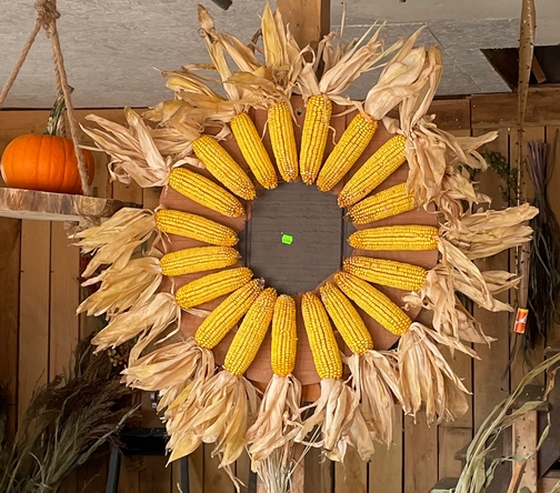 Stoltzfus corn sunflower