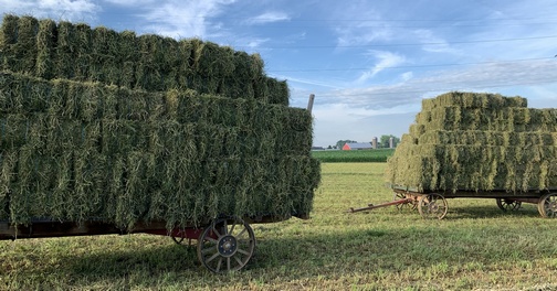 Strasburg Pike hay wagons
